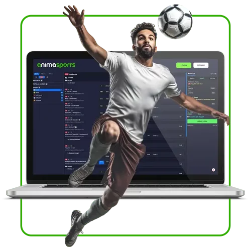 Anima Sportsbook, Sports, Live Sports