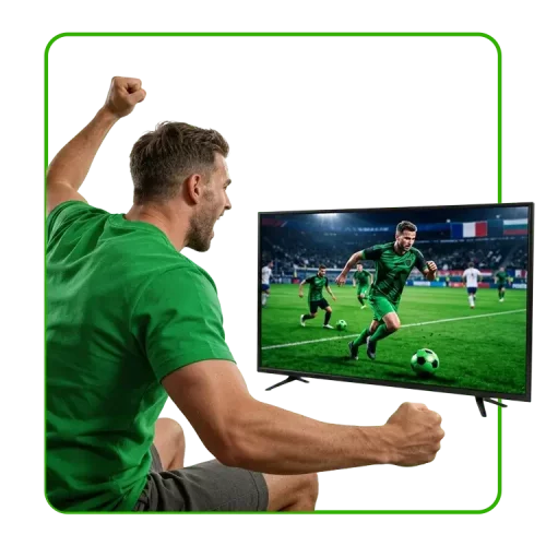 Anima Sportsbook, Sports, Live Sports